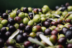Scopri di più sull'articolo Cos’è un olio extravergine?
