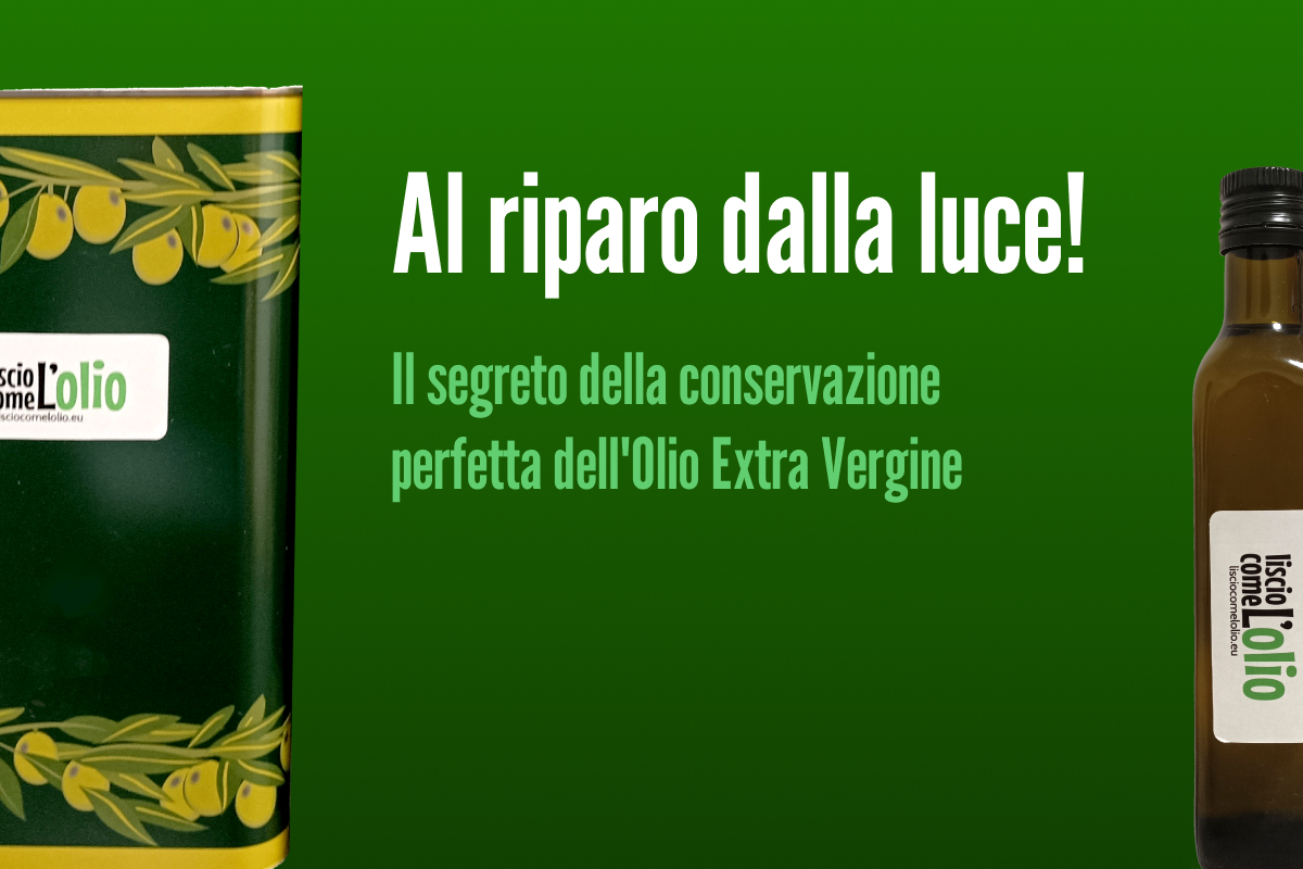 Scopri di più sull'articolo Al riparo dalla luce!