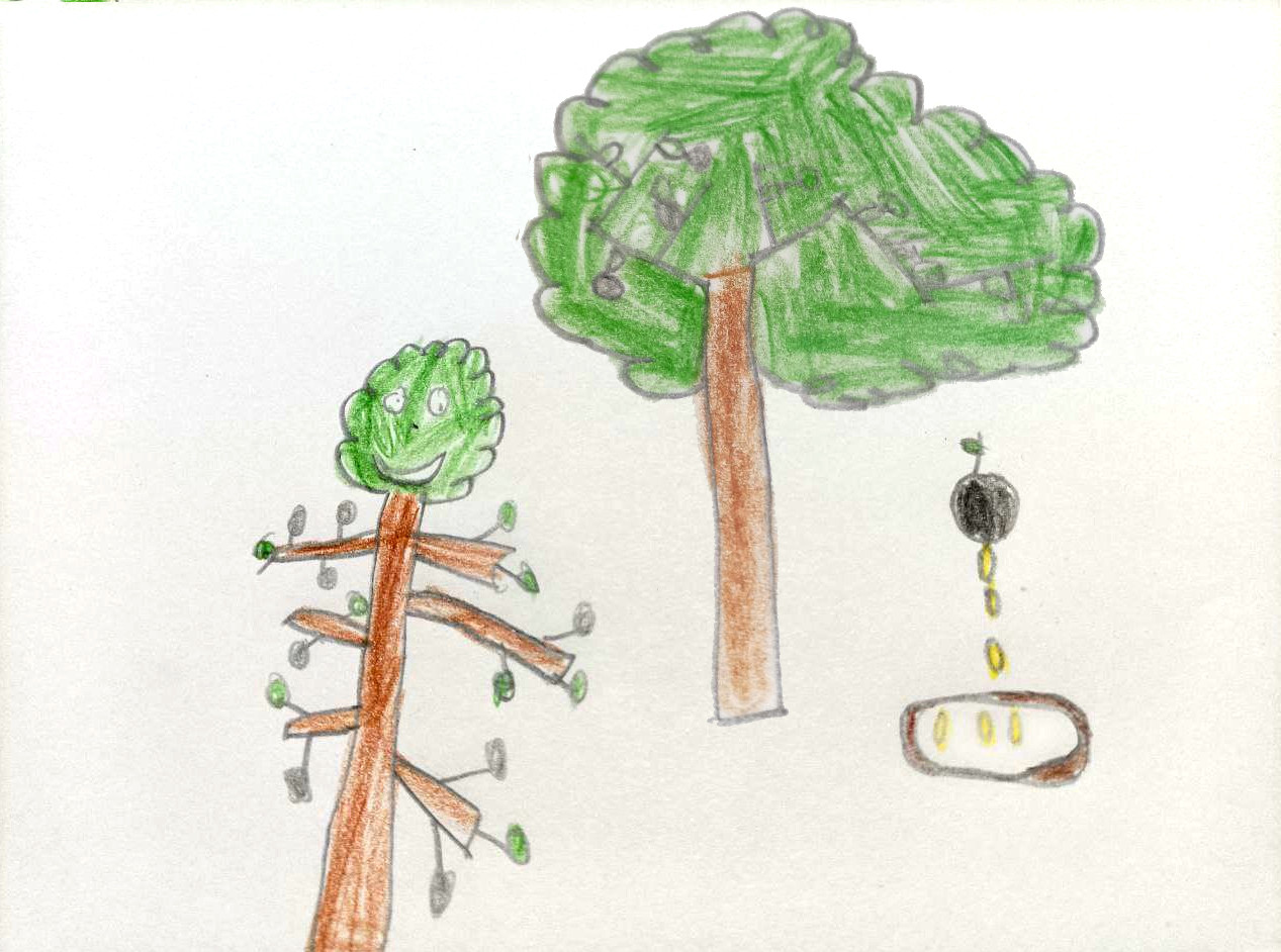 Scopri di più sull'articolo Andrea, 7 Anni: un viaggio nel mondo dell’Olio di Oliva