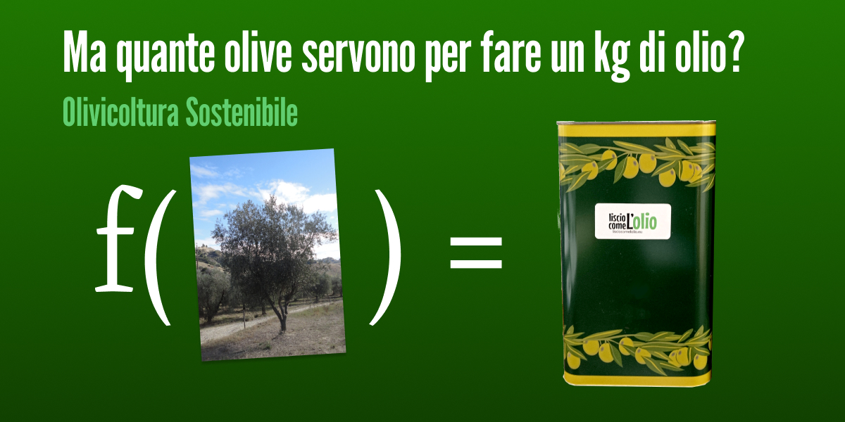 Scopri di più sull'articolo Quante olive servono per fare un litro di olio?