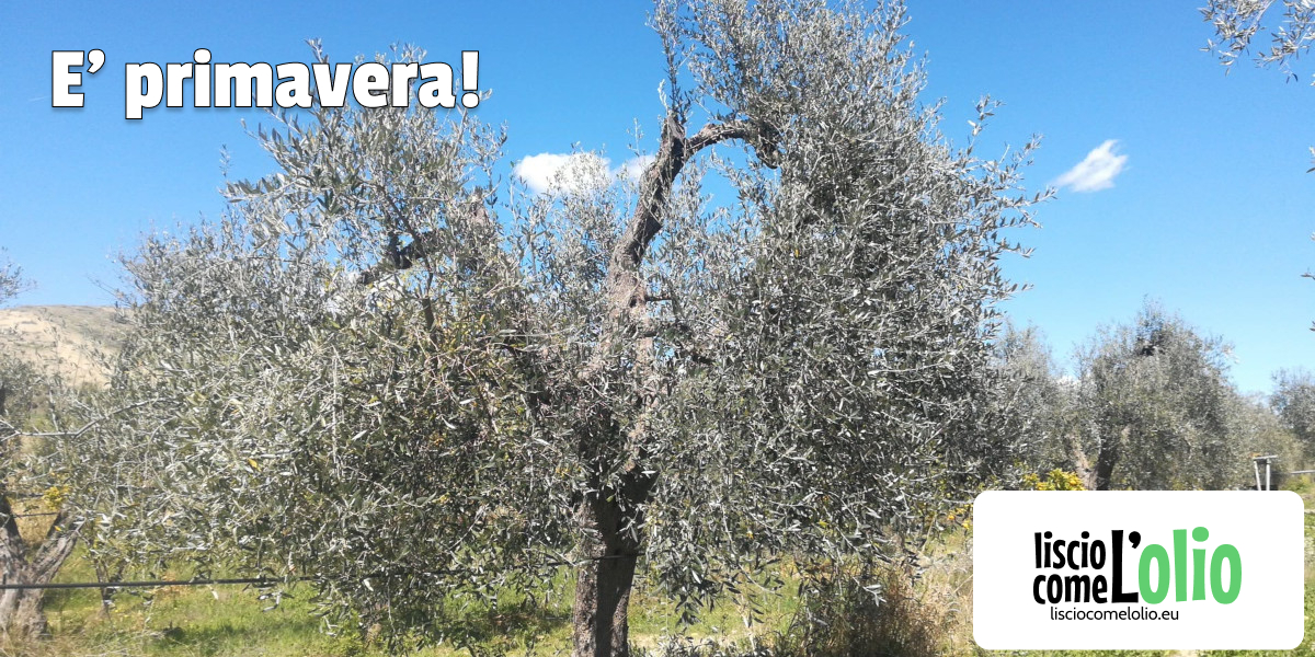 Scopri di più sull'articolo E’ primavera!