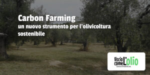 Scopri di più sull'articolo Carbon Farming: un nuovo strumento per l’olivicoltura sostenibile