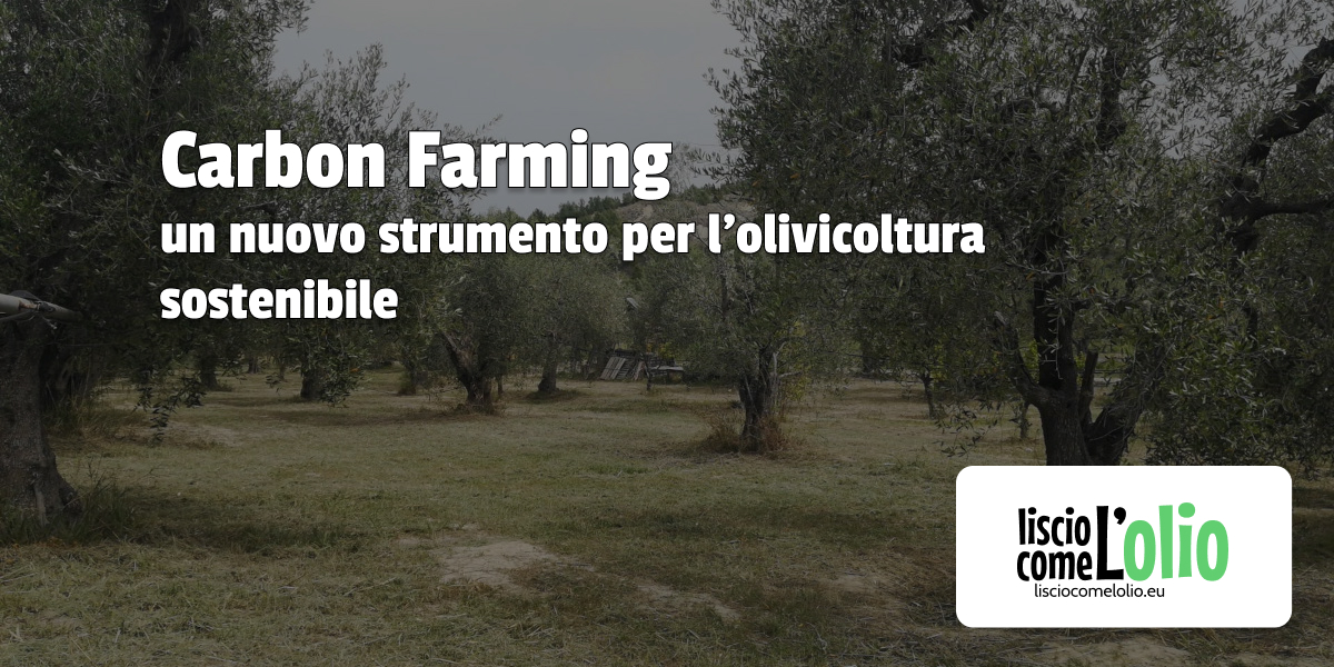 Scopri di più sull'articolo Carbon Farming: un nuovo strumento per l’olivicoltura sostenibile