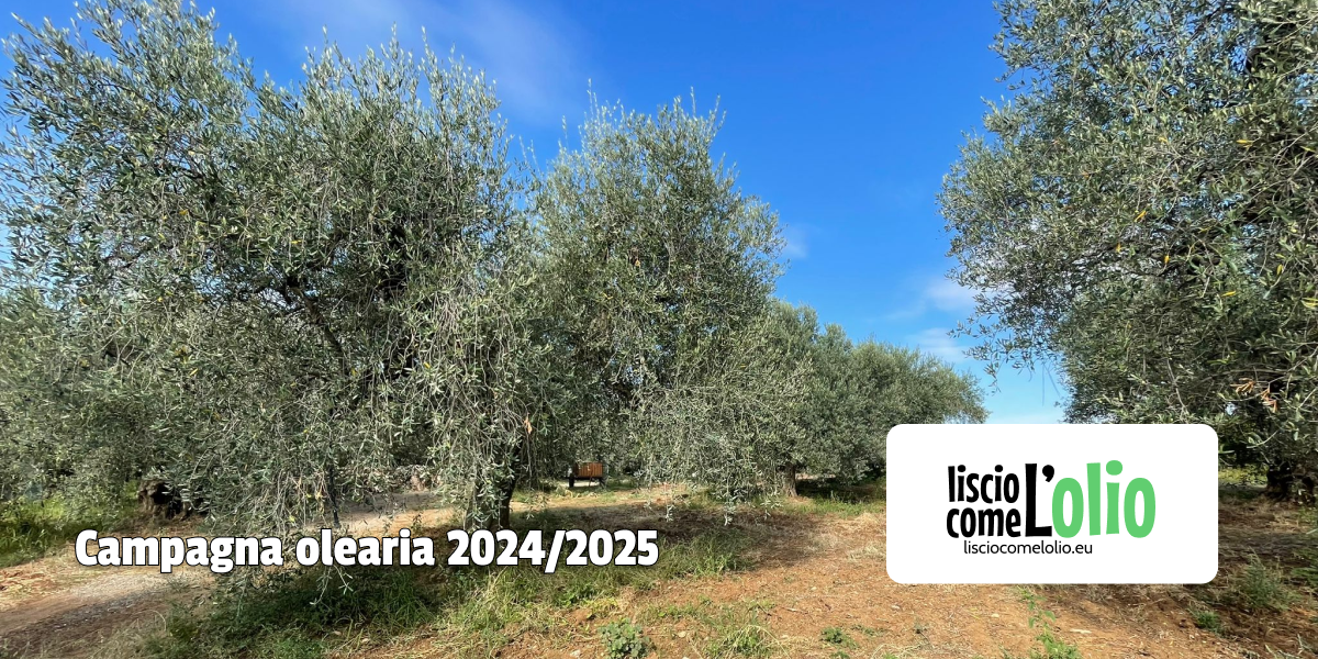 Scopri di più sull'articolo Campagna olearia 2024/2025