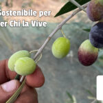 Un Futuro Sostenibile per la Terra e per Chi la Vive