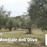 26 Novembre: Giornata Mondiale dell’Olivo