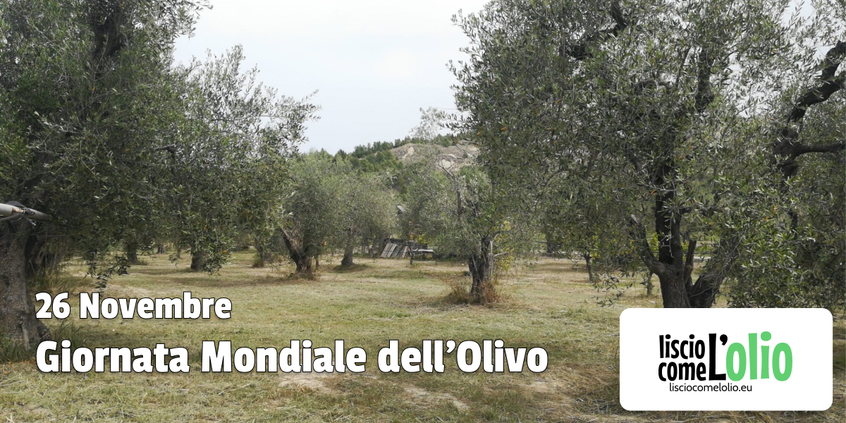 Scopri di più sull'articolo 26 Novembre: Giornata Mondiale dell’Olivo