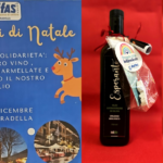 ANFFAS e i Mercatini di Natale: Solidarietà che Illumina il Futuro