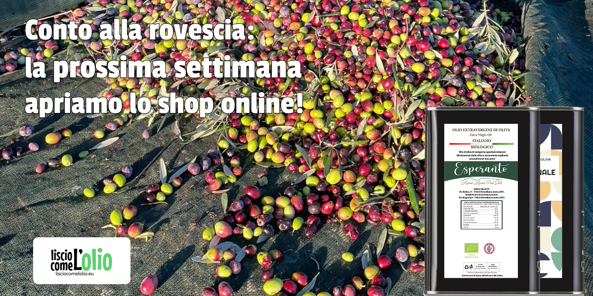 Scopri di più sull'articolo Raccolta delle olive 2025: dalla prossima settimana apre lo shop online per i nostri oli extravergine